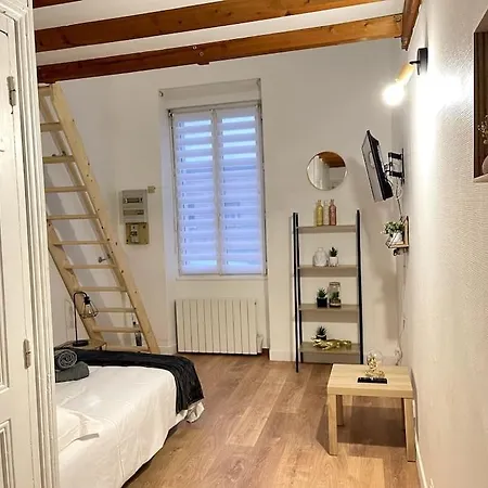 Appart 4 Personnes - Duplex Mezzanine - Poitiers- Gare Apartment